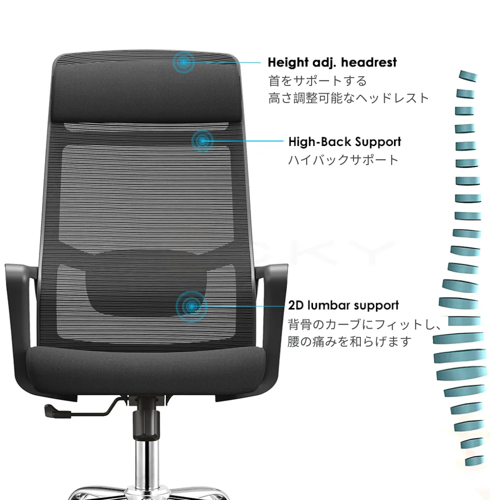 黒いメッシュ製エルゴノミクスオフィスチェアの詳細画像。調節可能なヘッドレスト、ハイバックサポート、2Dランバーサポートが強調されています。右側には、背中のサポートを強調する人間の脊椎の独立した図が示されています。