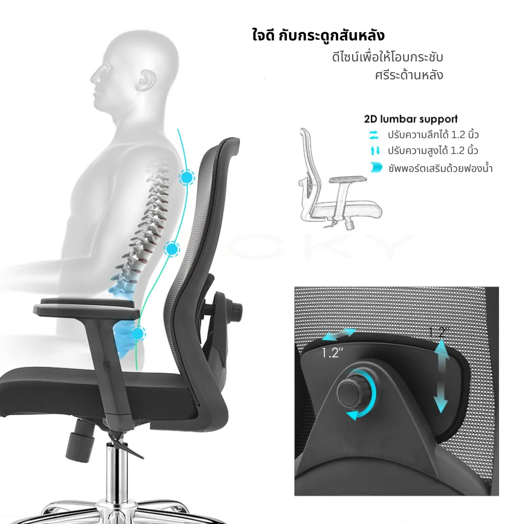 B-9012 สามารถปรับ 2D Lumbar support ได้