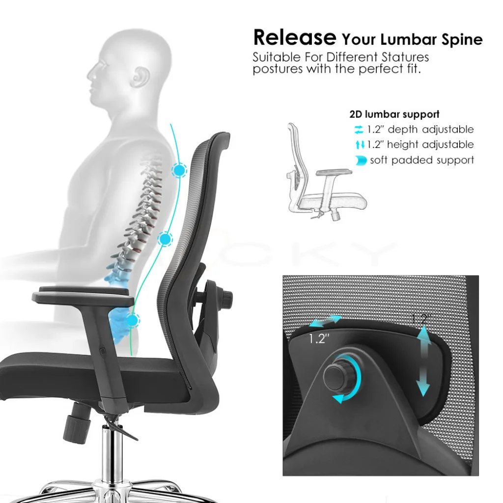 B-9012 Office chair with adjustable lumbar support for spinal comfort, demonstrated with a human spine graphic.
